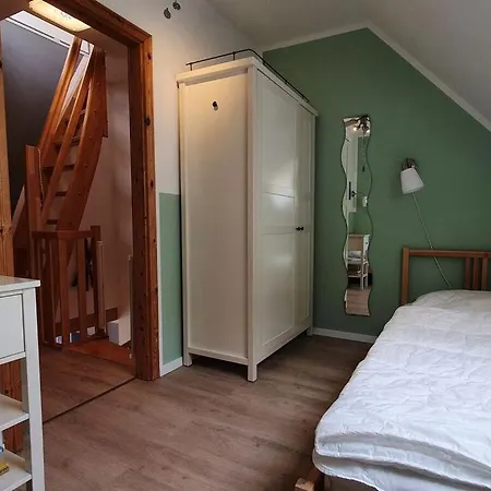 Vervet Monkey Modern Retreat